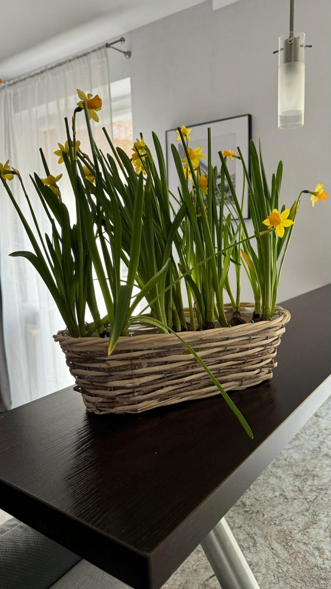 Apartament Rodzinny Kolobřeh Exteriér fotografie