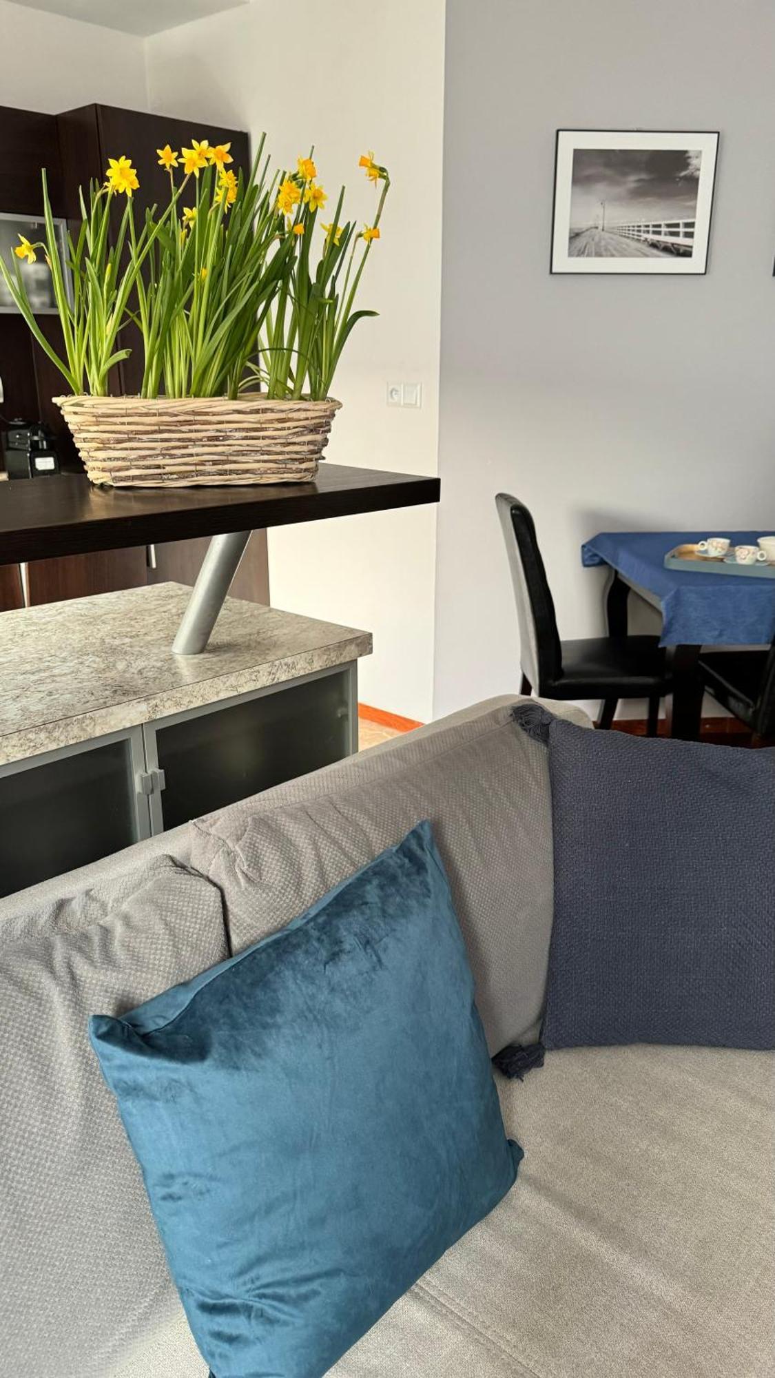 Apartament Rodzinny Kolobřeh Exteriér fotografie